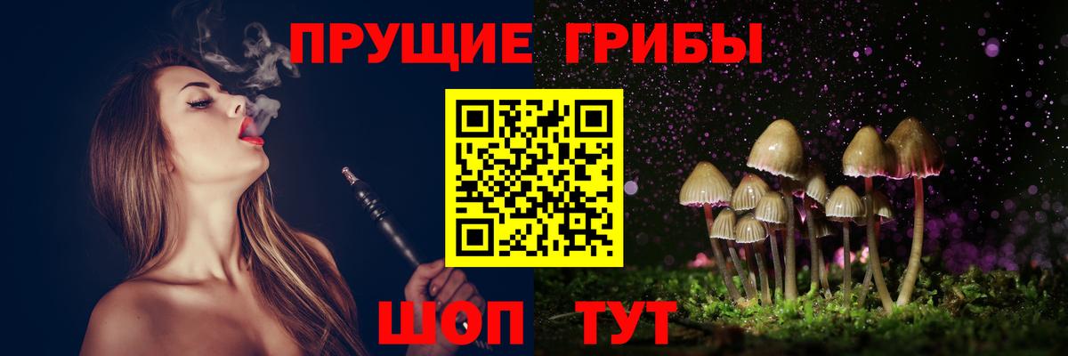 Псилоцибиновые грибы GOLDEN TEACHER Керчь