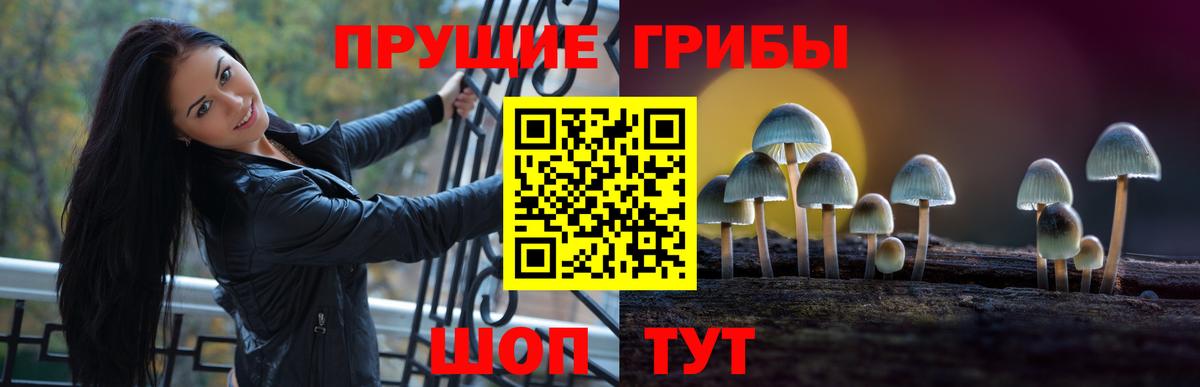 купить наркотики цена  Псилоцибиновые грибы Psilocybine cubensis  Вход с VPN  Керчь 